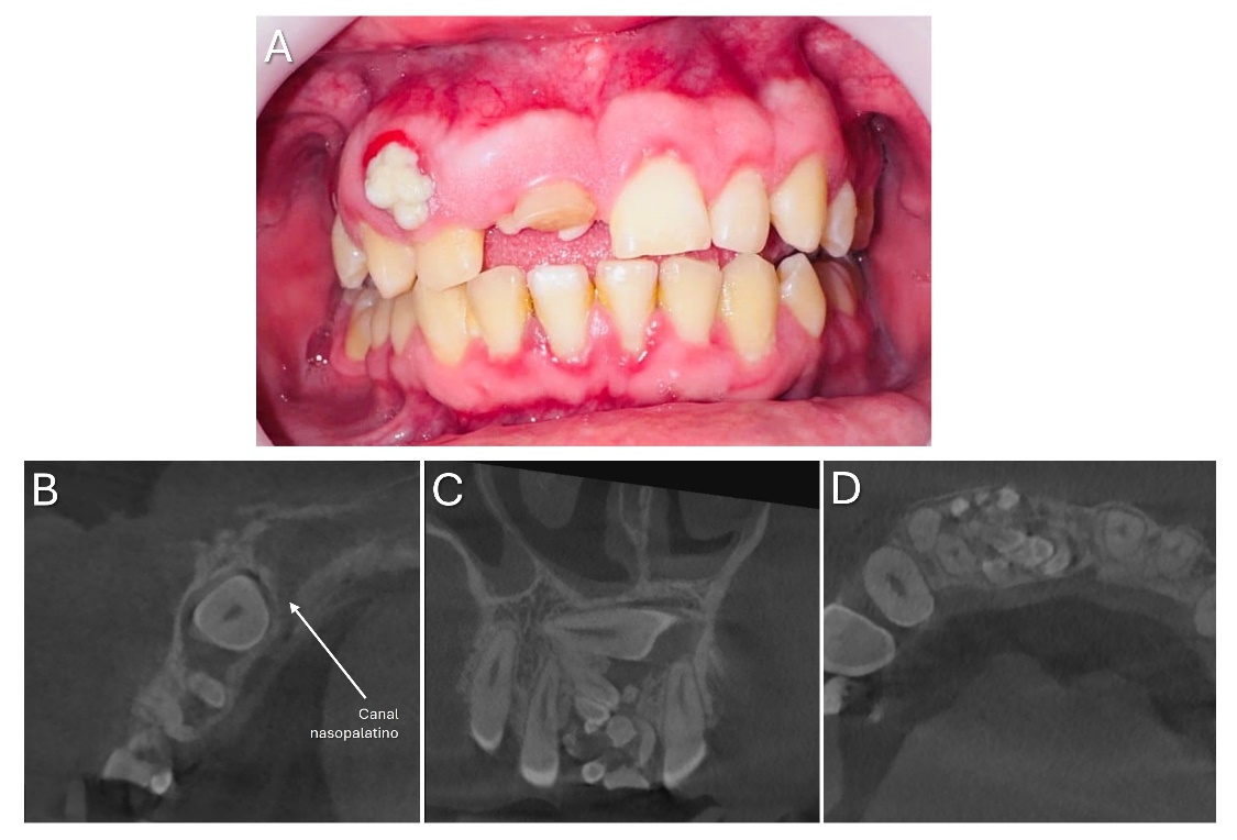 Interfaz de usuario gráfica

Descripción generada automáticamente