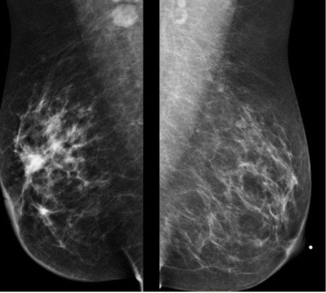 Imagen en blanco y negro

Descripción generada automáticamente con confianza baja