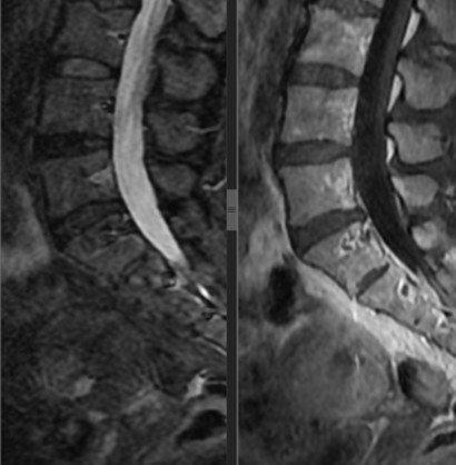 Imagen que contiene perro, banca, hecho de madera, hombre

Descripción generada automáticamente