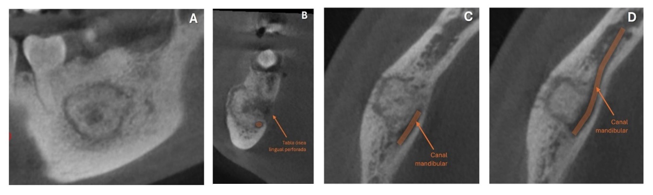 Imagen que contiene foto, diferente, gato, hombre
Descripción generada automáticamente