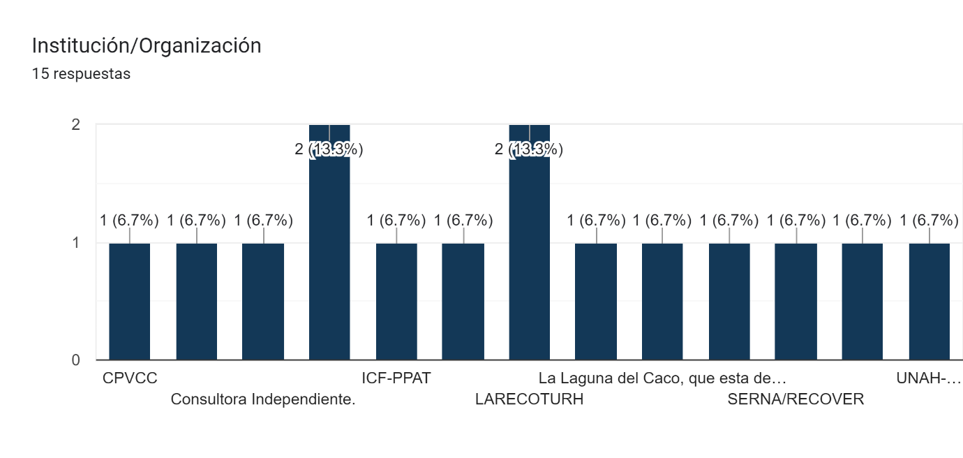 Gráfico de las respuestas de Formularios. Título de la pregunta: Institución/Organización  . Número de respuestas: 15 respuestas.